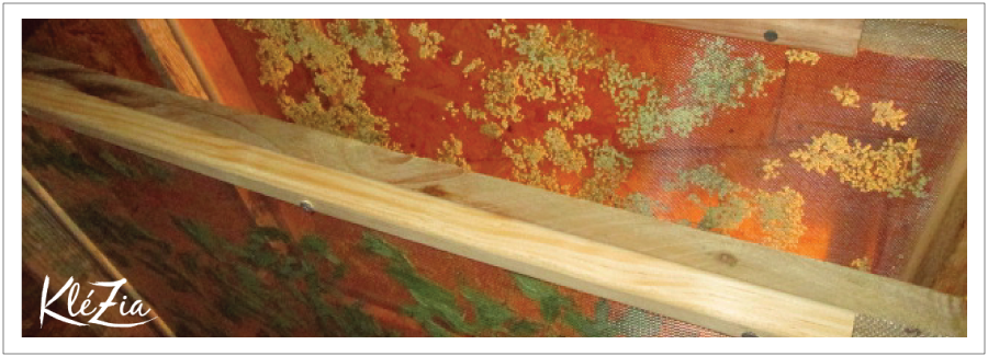 cameline-bandeau-du-haut