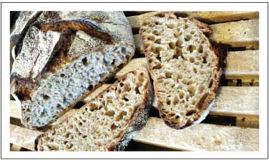 klezia-pain-campagne-alvéolé-